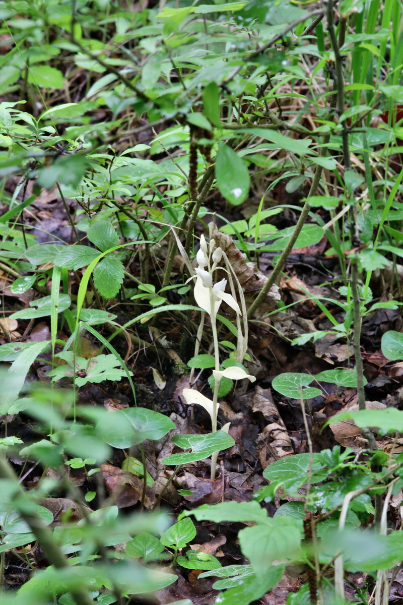 2014_05_19_00043098p_Bildgr��e �ndern