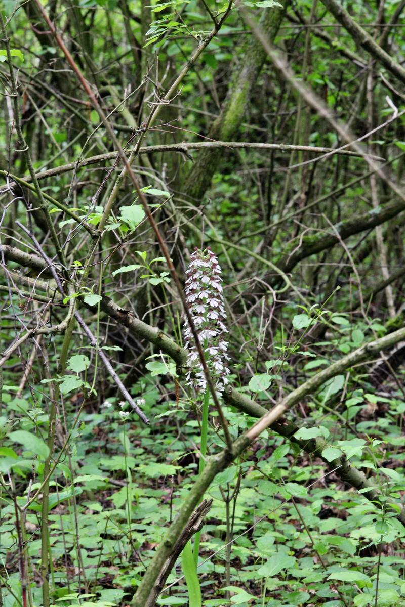 2014_05_19_00043101p_Bildgr��e �ndern