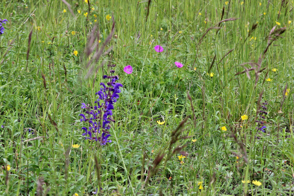 2014_05_19_00043108p_Bildgr��e �ndern