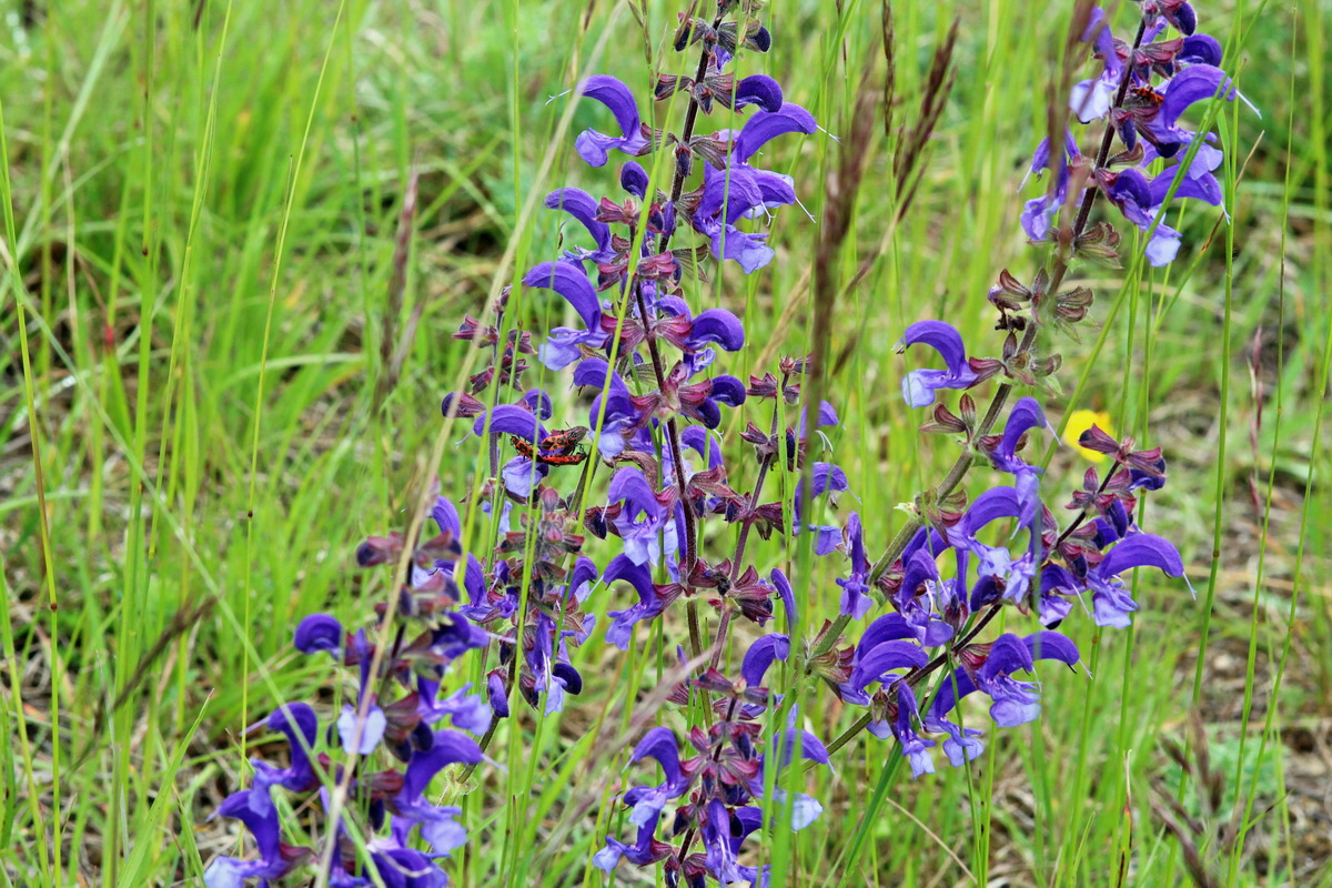 2014_05_19_00043114p_Bildgr��e �ndern