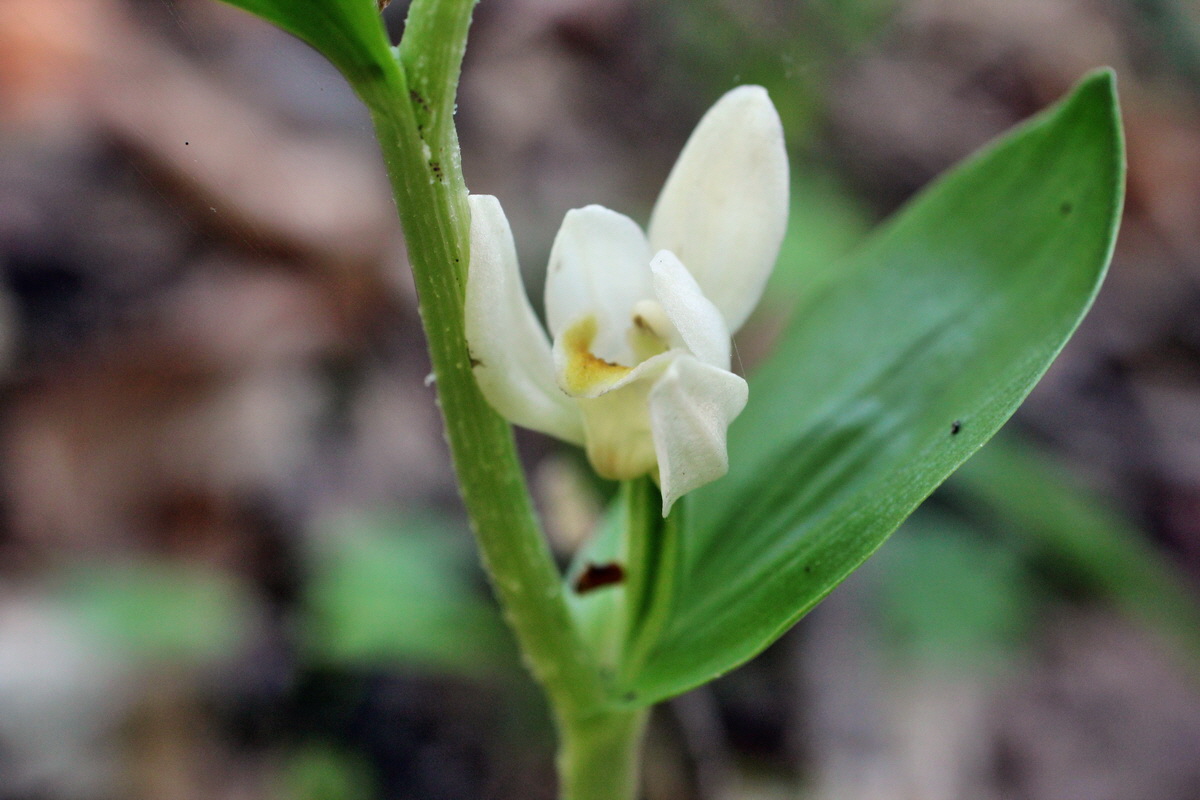 2014_05_20_00043133p_Bildgr��e �ndern