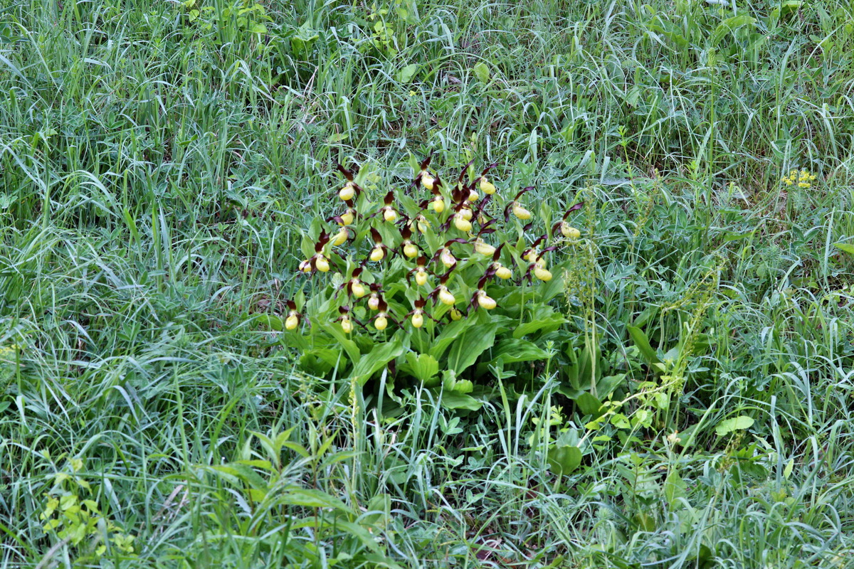 2014_05_20_00043152p_Bildgr��e �ndern