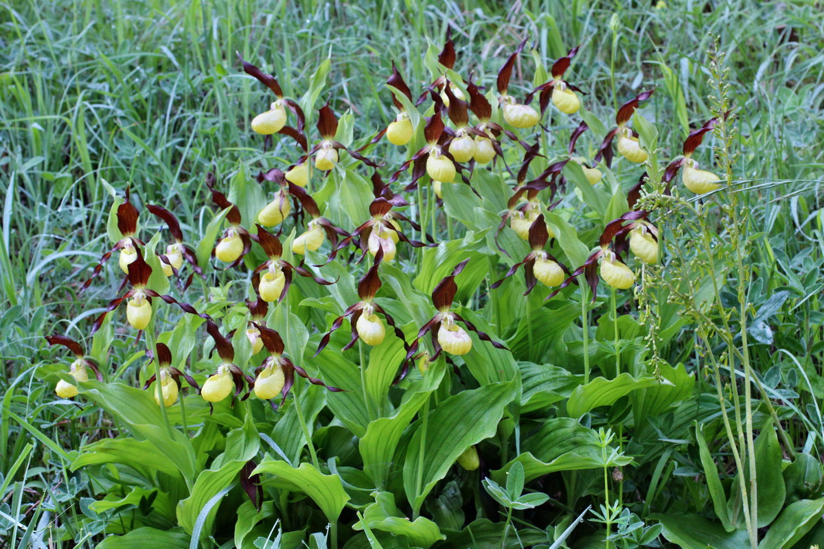 2014_05_20_00043158p_Bildgr��e �ndern