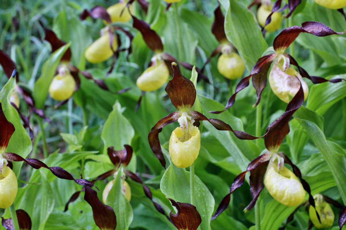 2014_05_20_00043160p_Bildgr��e �ndern