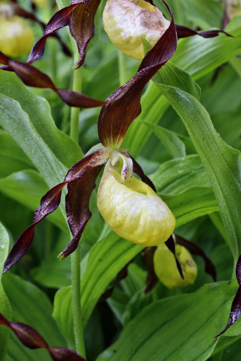 2014_05_20_00043164p_Bildgr��e �ndern