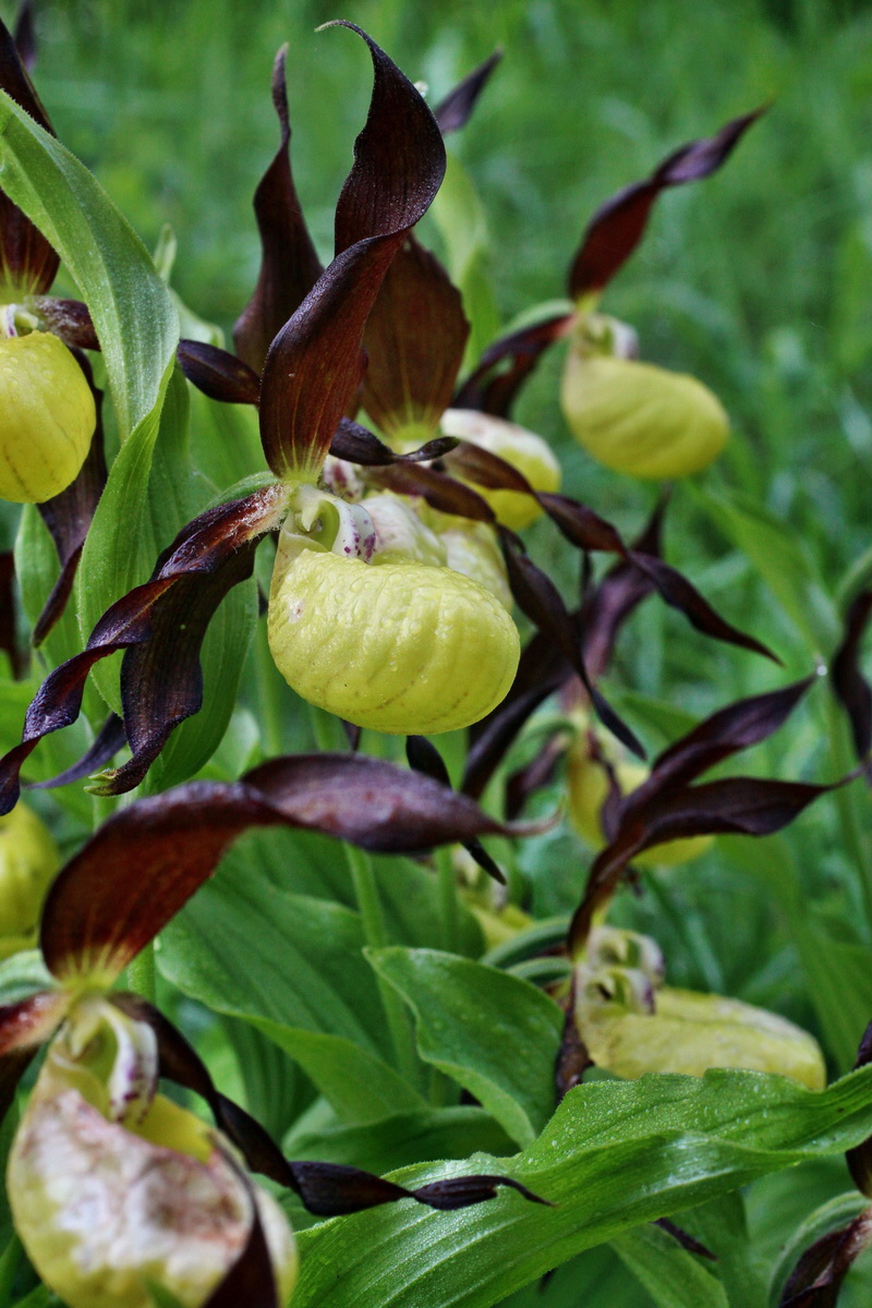 2014_05_20_00043172p_Bildgr��e �ndern