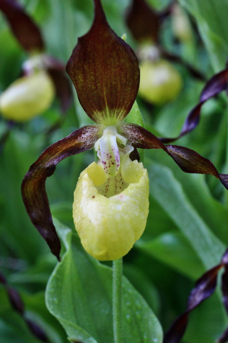 2014_05_20_00043175p_Bildgr��e �ndern