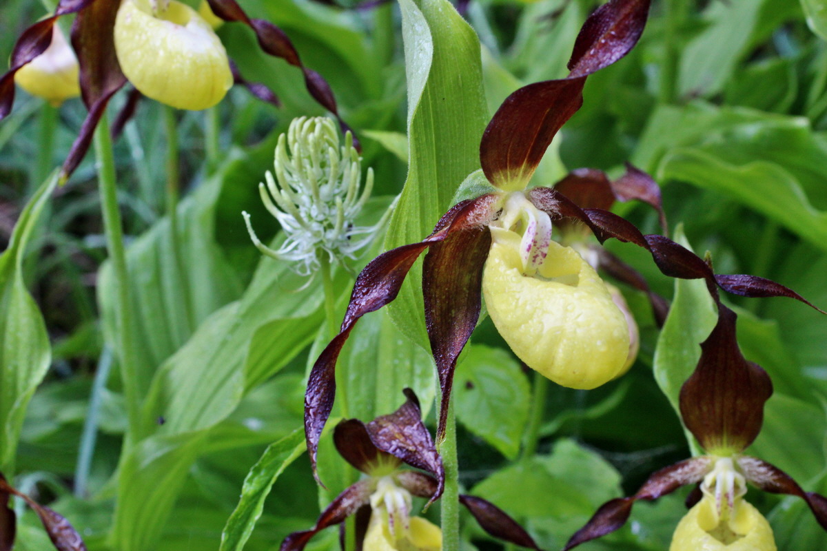 2014_05_20_00043180p_Bildgr��e �ndern