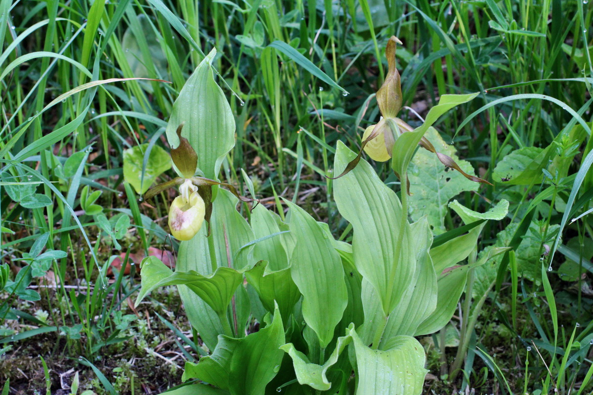 2014_05_20_00043183p_Bildgr��e �ndern