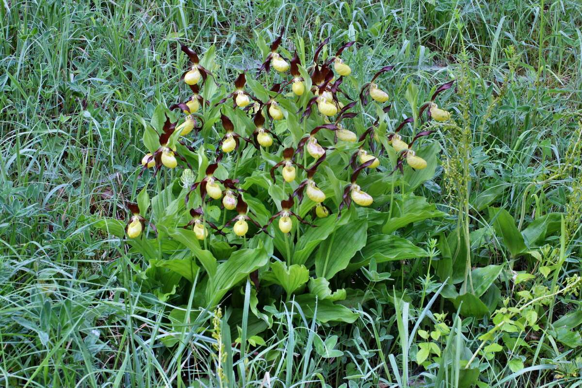 2014_05_20_00043188p_Bildgr��e �ndern