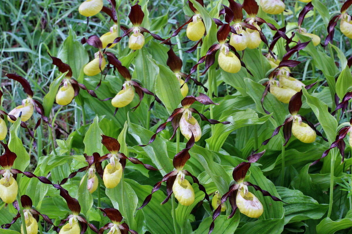 2014_05_20_00043193p_Bildgr��e �ndern