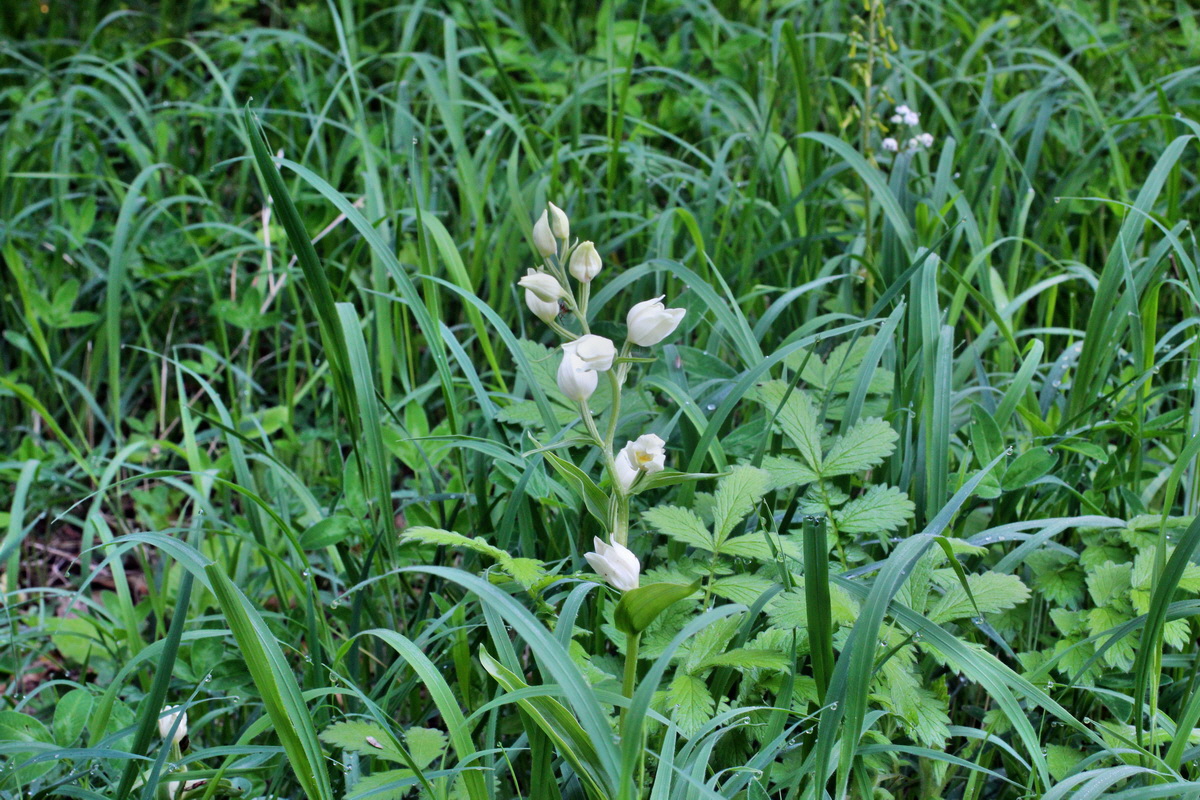 2014_05_20_00043209p_Bildgr��e �ndern