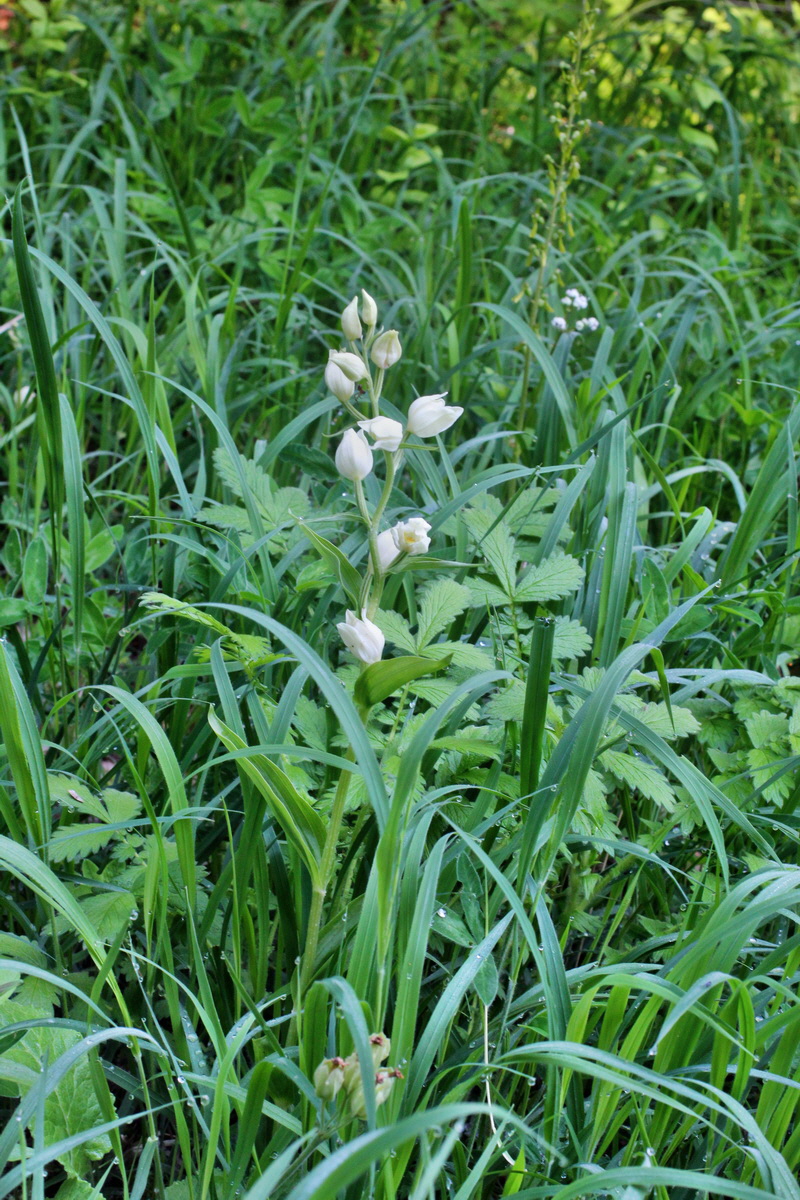 2014_05_20_00043214p_Bildgr��e �ndern