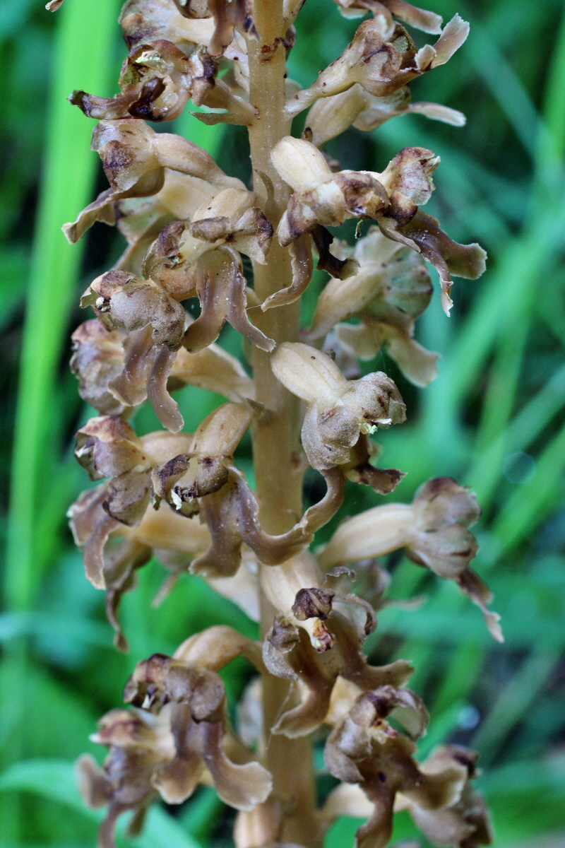 2014_05_20_00043219p_Bildgr��e �ndern