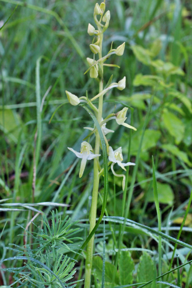 2014_05_20_00043223p_Bildgr��e �ndern