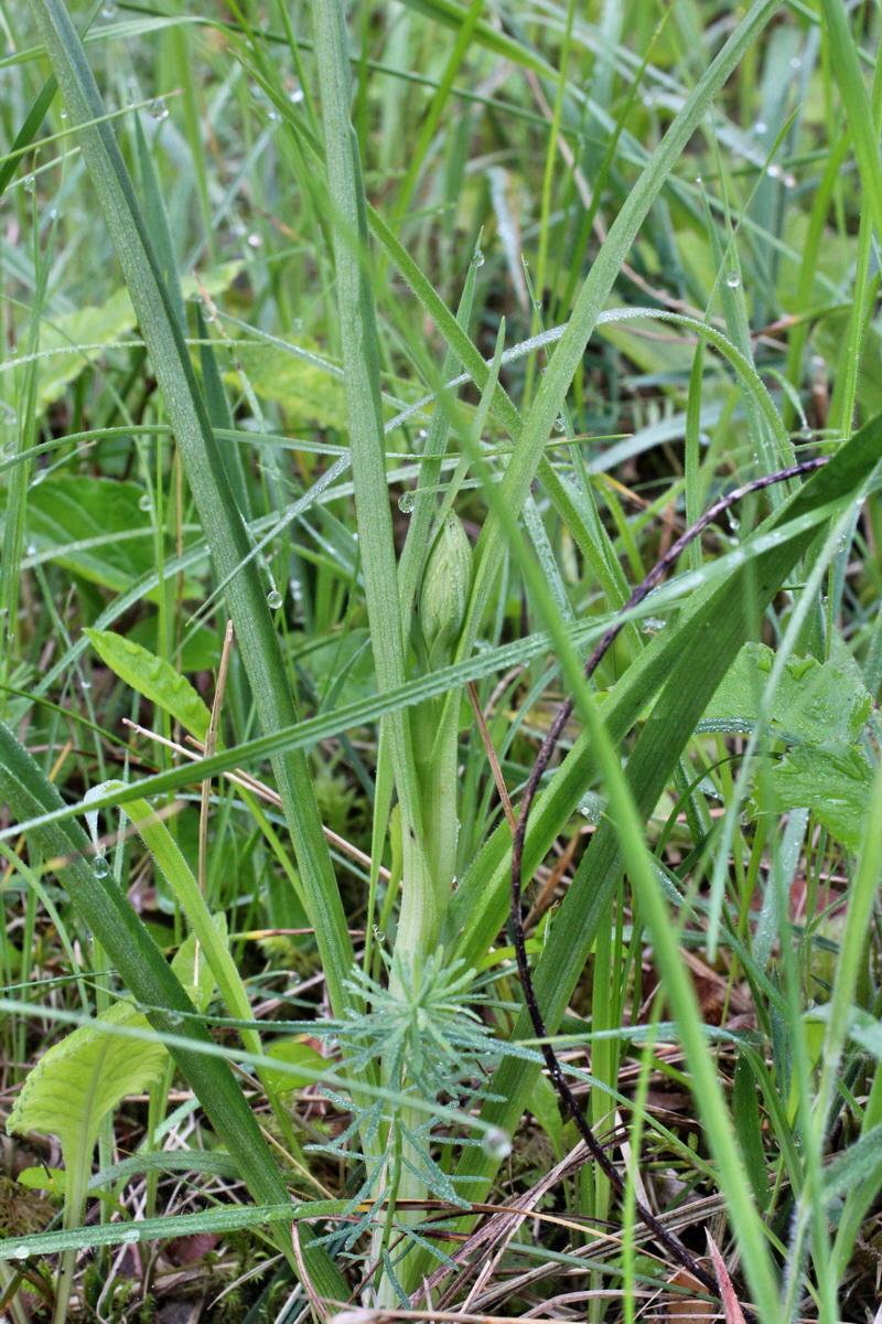 2014_05_20_00043227p_Bildgr��e �ndern