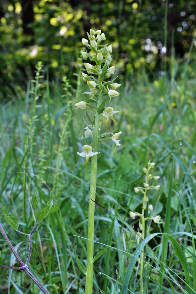 2014_05_20_00043230p_Bildgr��e �ndern