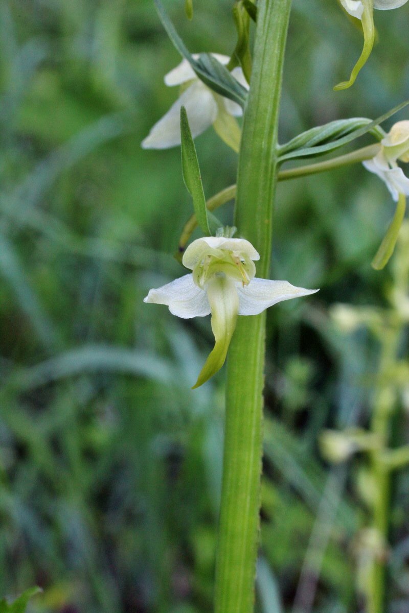 2014_05_20_00043234p_Bildgr��e �ndern