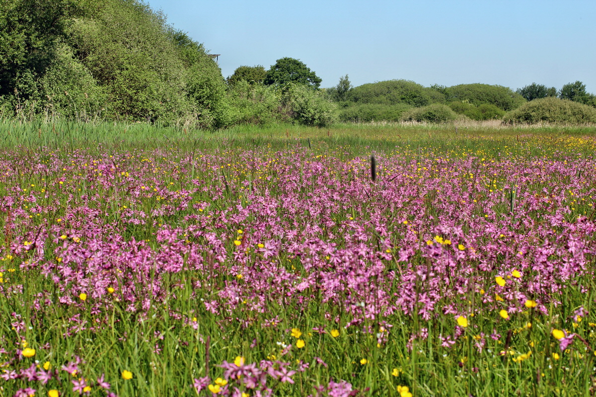 2014_05_20_00043247p_Bildgr��e �ndern