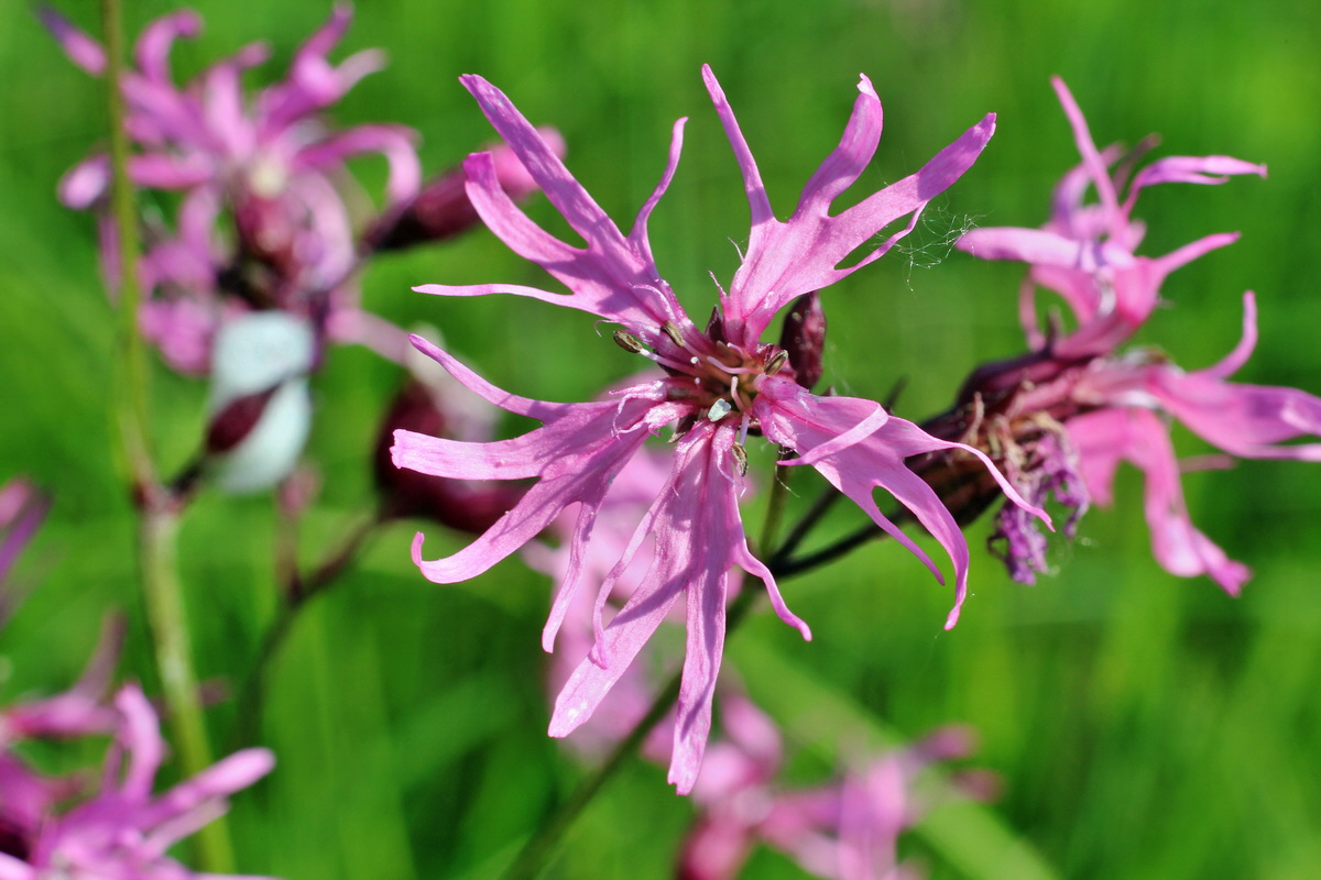 2014_05_20_00043250p_Bildgr��e �ndern