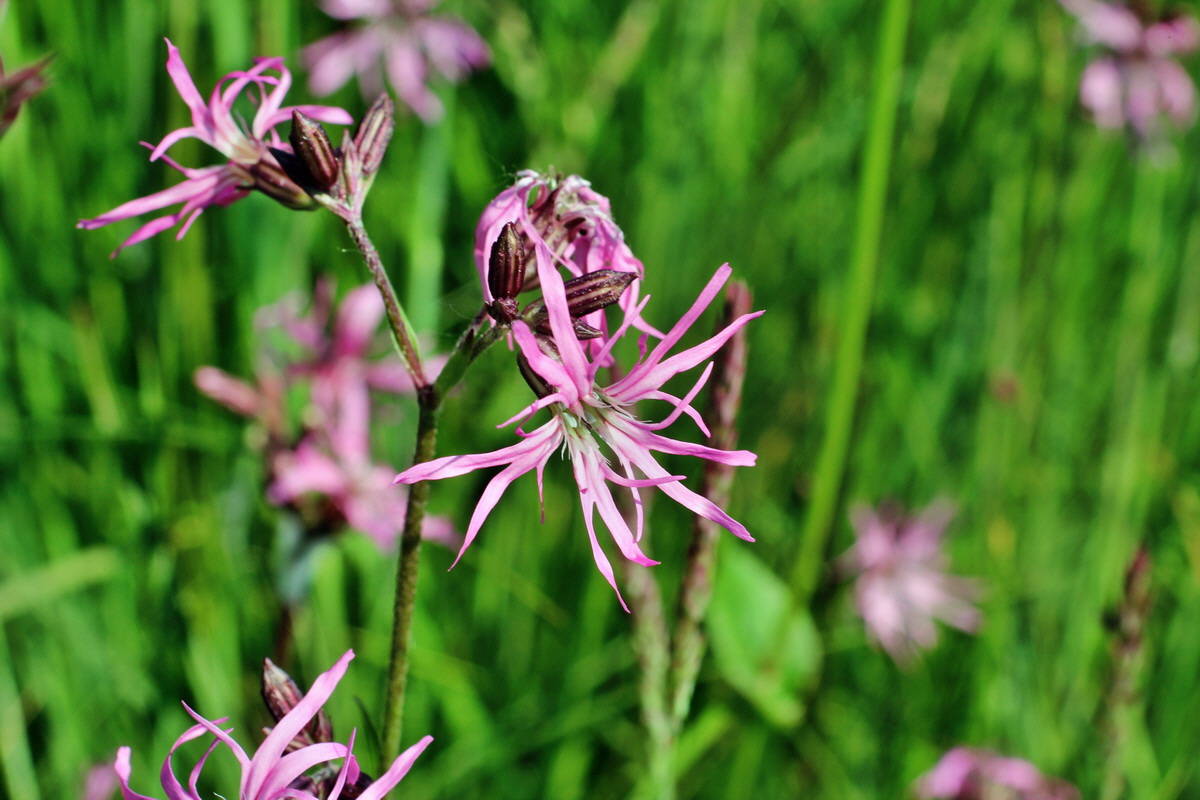 2014_05_20_00043253p_Bildgr��e �ndern