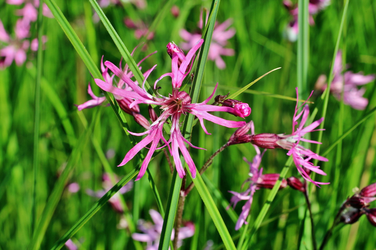 2014_05_20_00043257p_Bildgr��e �ndern