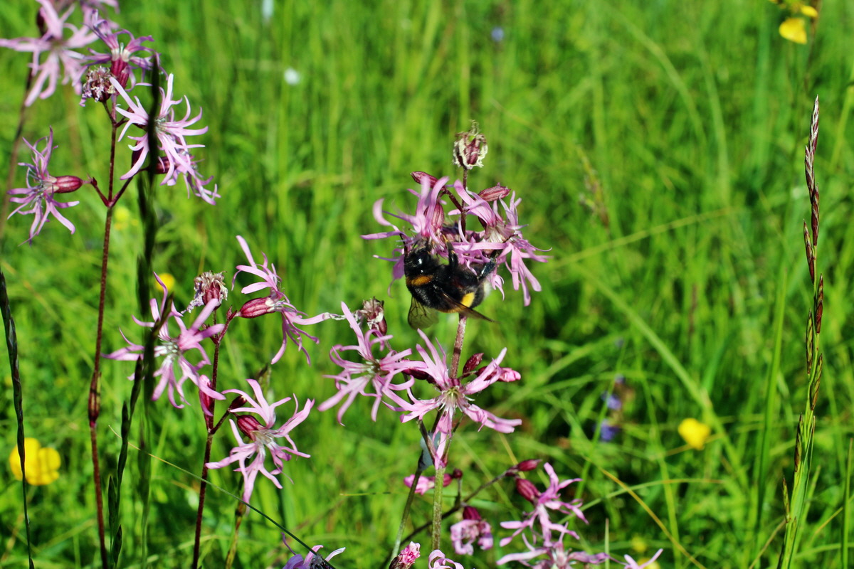 2014_05_20_00043302p_Bildgr��e �ndern