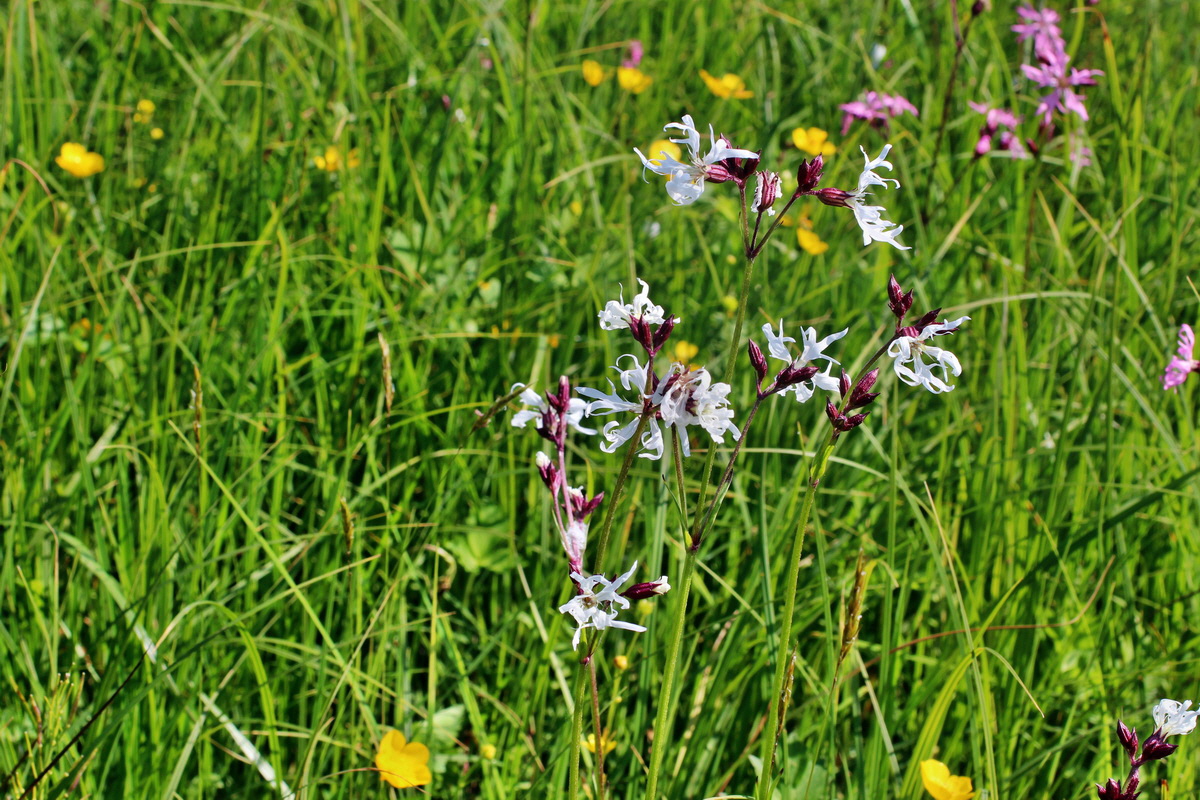 2014_05_20_00043310p_Bildgr��e �ndern