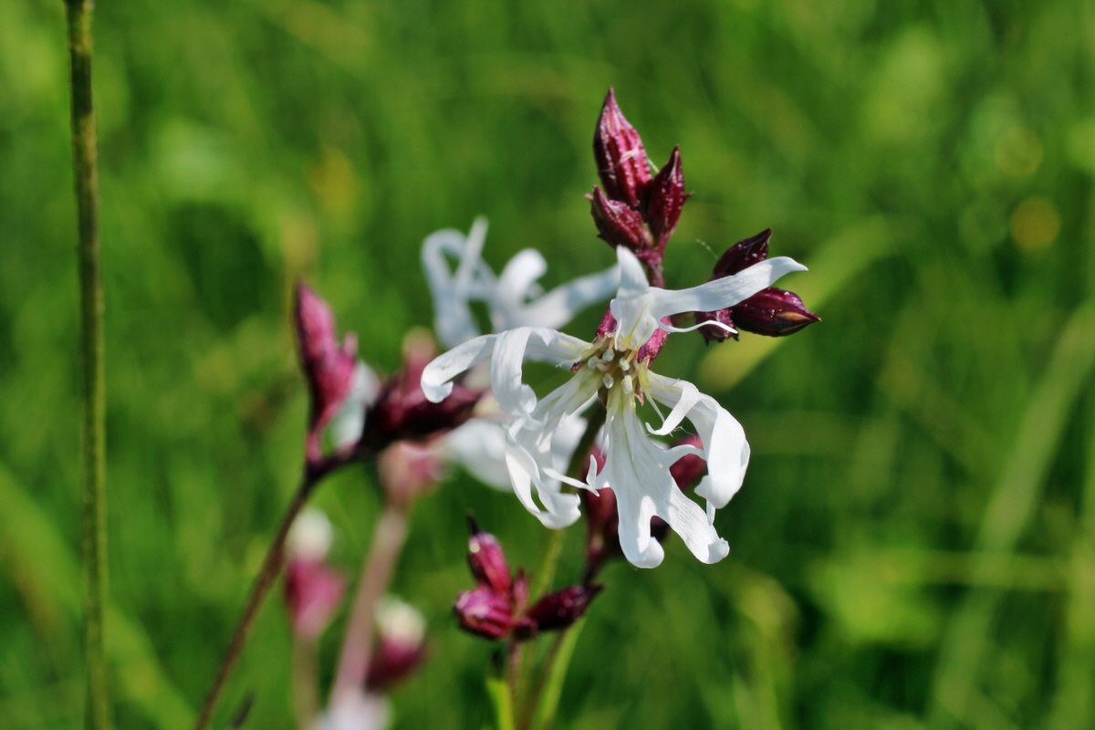 2014_05_20_00043314p_Bildgr��e �ndern