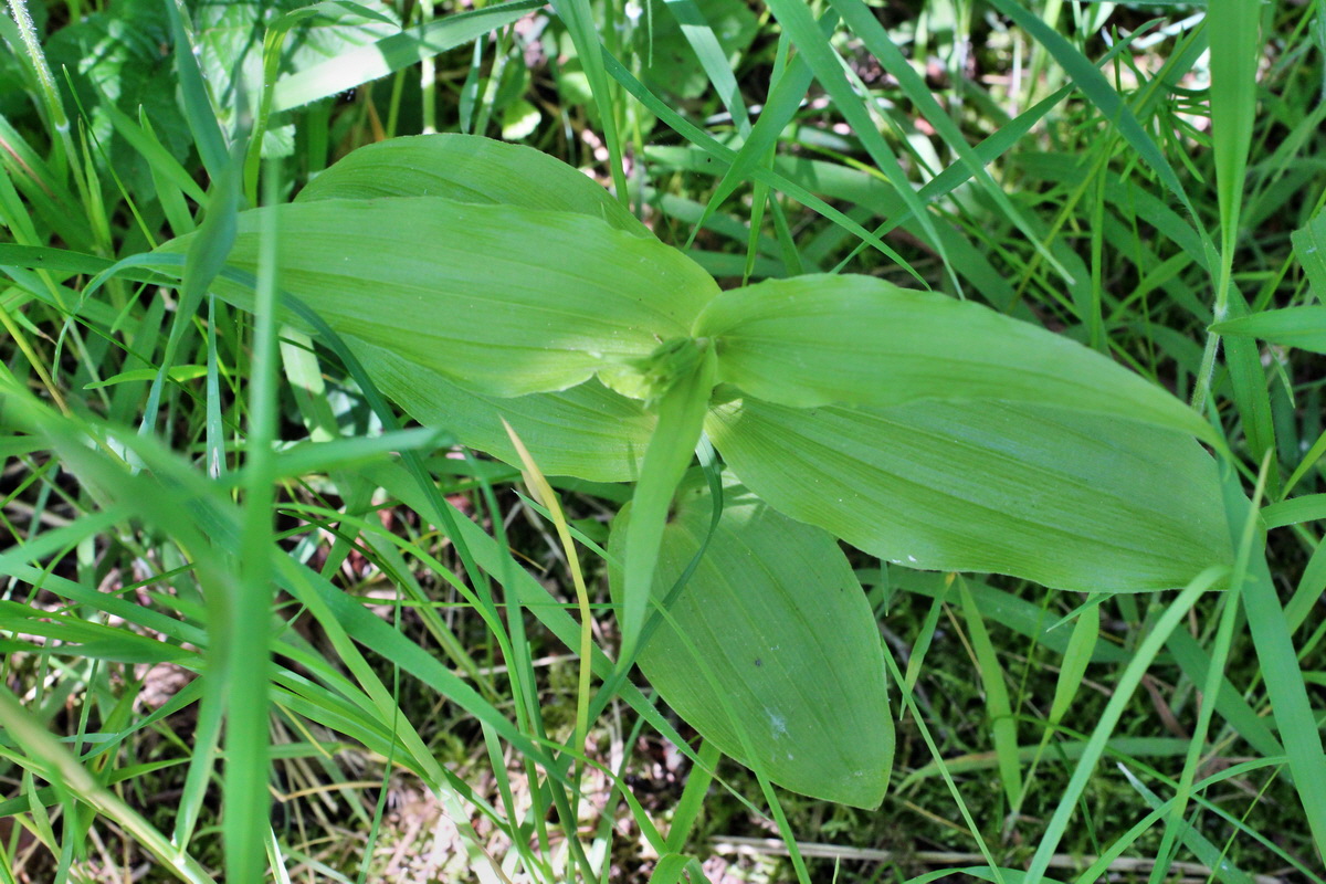 2014_05_20_00043327p_Bildgr��e �ndern