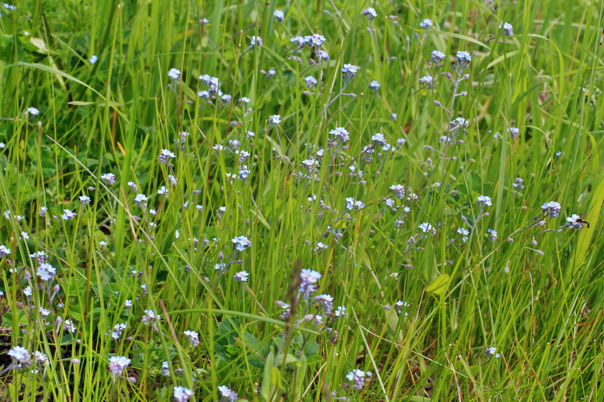 2014_05_20_00043332p_Bildgr��e �ndern