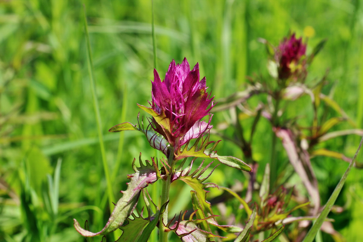 2014_05_20_00043335p_Bildgr��e �ndern