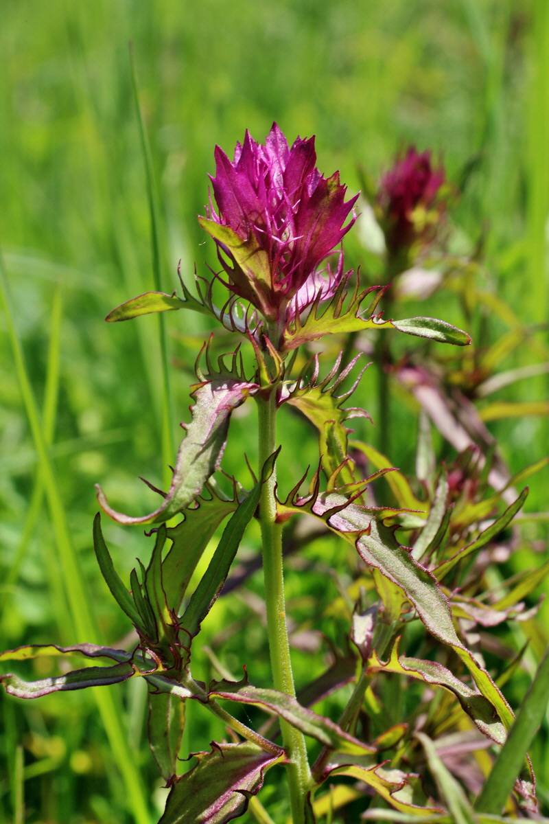 2014_05_20_00043338p_Bildgr��e �ndern