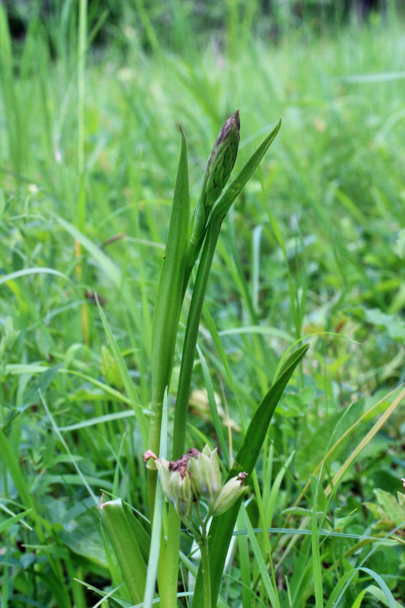 2014_05_20_00043344p_Bildgr��e �ndern