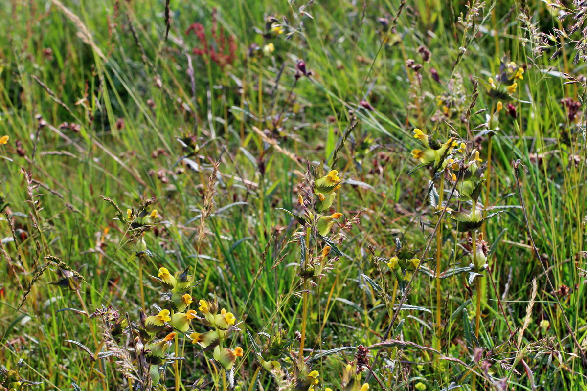 2014_05_21_00043348p_Bildgr��e �ndern