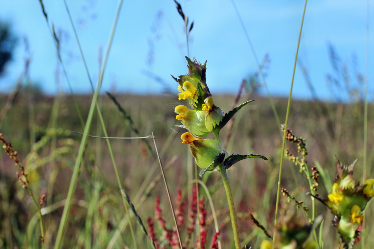 2014_05_21_00043350p_Bildgr��e �ndern