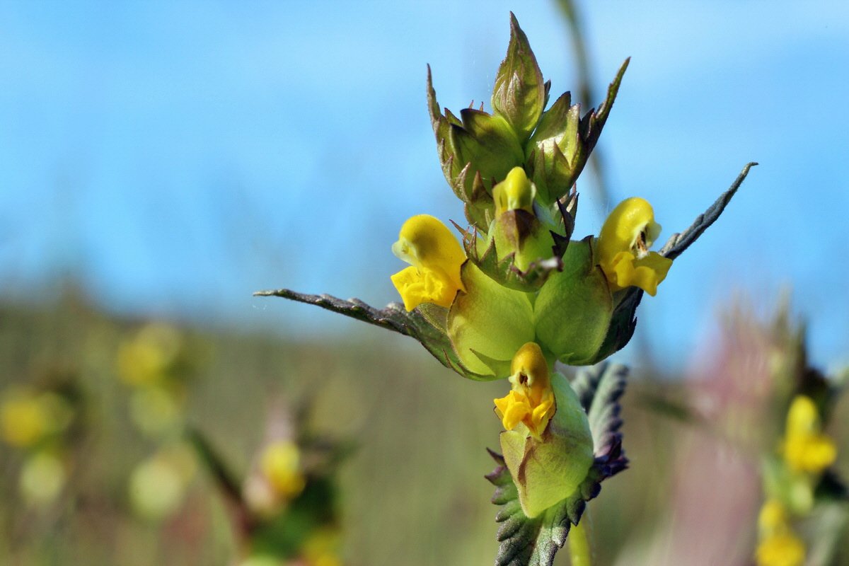 2014_05_21_00043355p_Bildgr��e �ndern