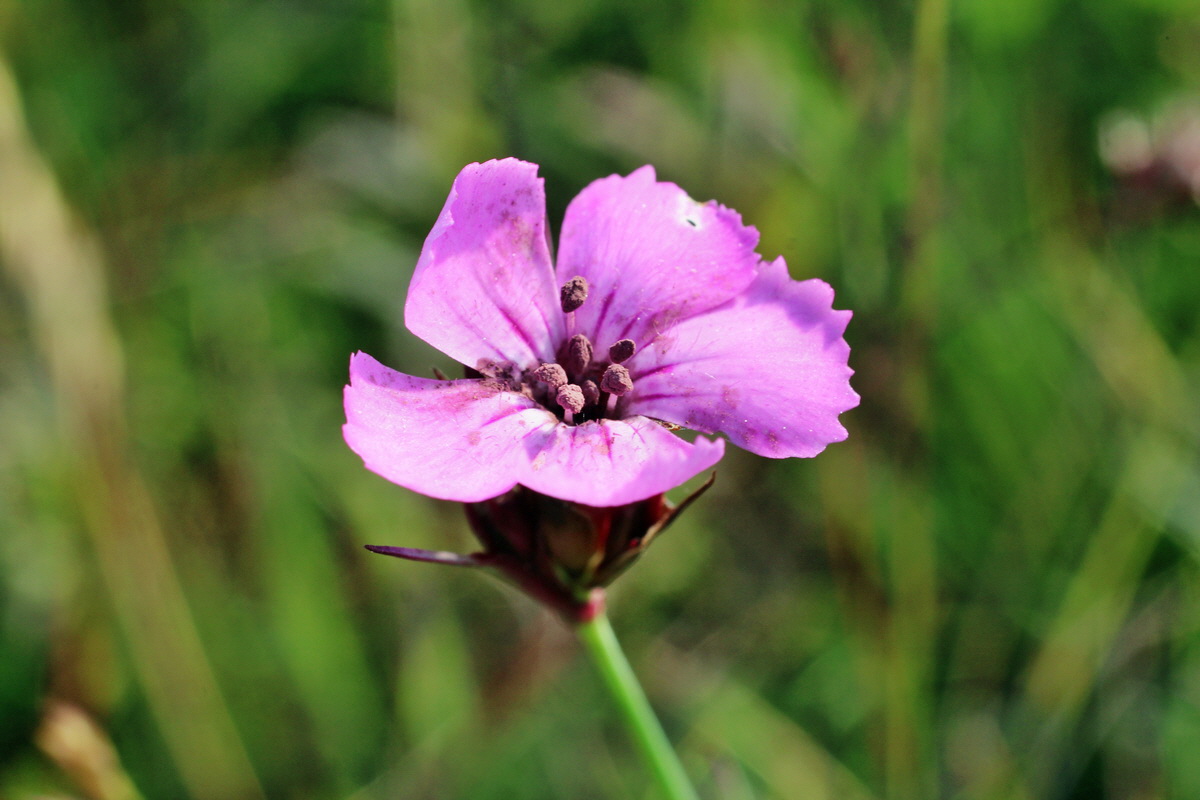 2014_05_21_00043357p_Bildgr��e �ndern