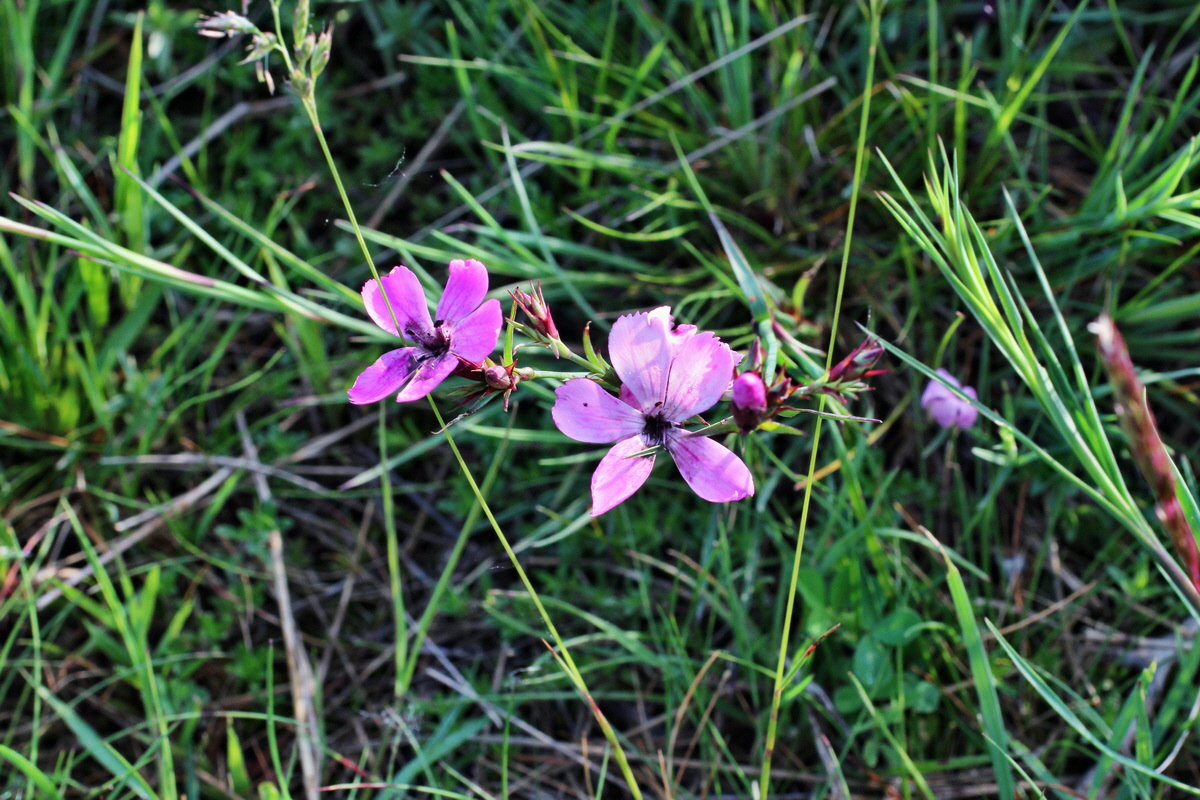 2014_05_21_00043361p_Bildgr��e �ndern