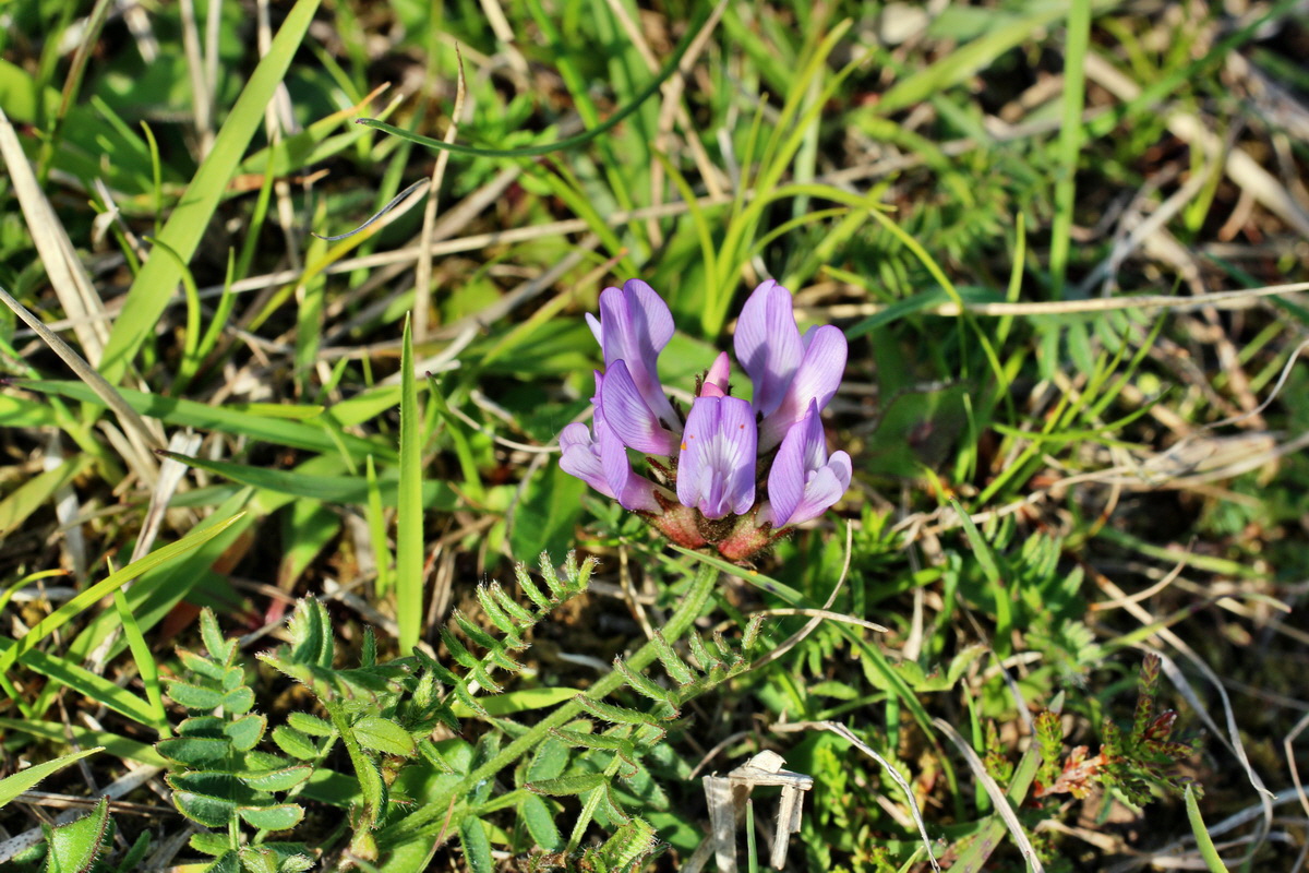 2014_05_21_00043377p_Bildgr��e �ndern