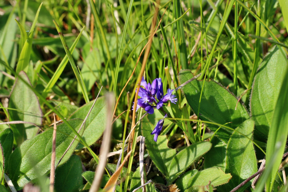 2014_05_21_00043381p_Bildgr��e �ndern