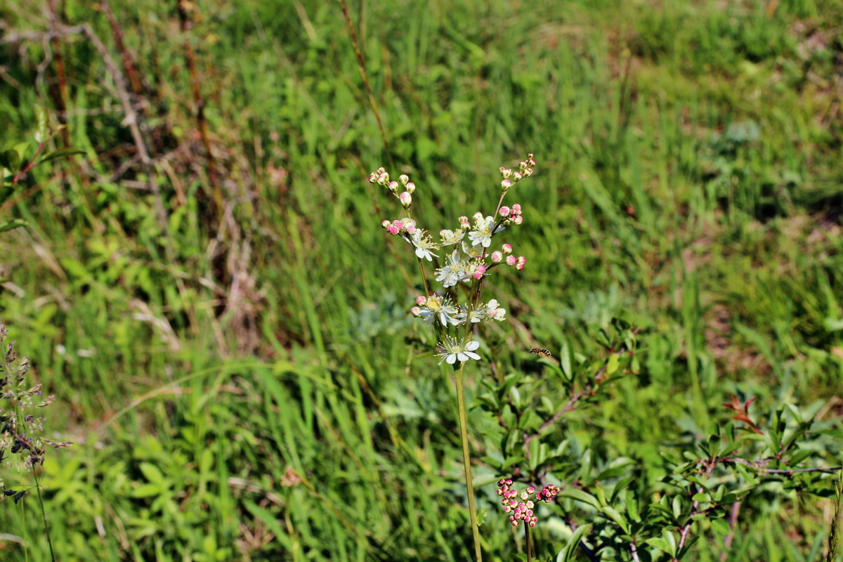 2014_05_21_00043385p_Bildgr��e �ndern