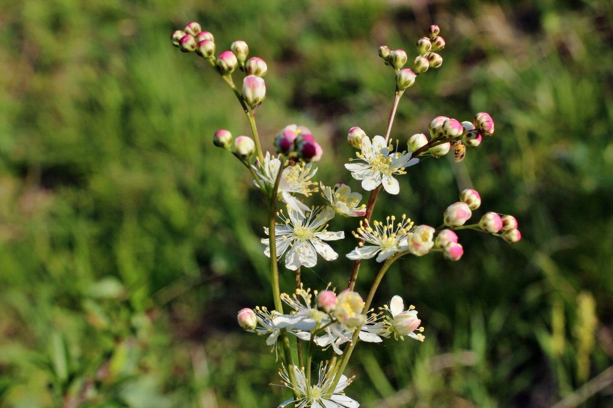 2014_05_21_00043388p_Bildgr��e �ndern