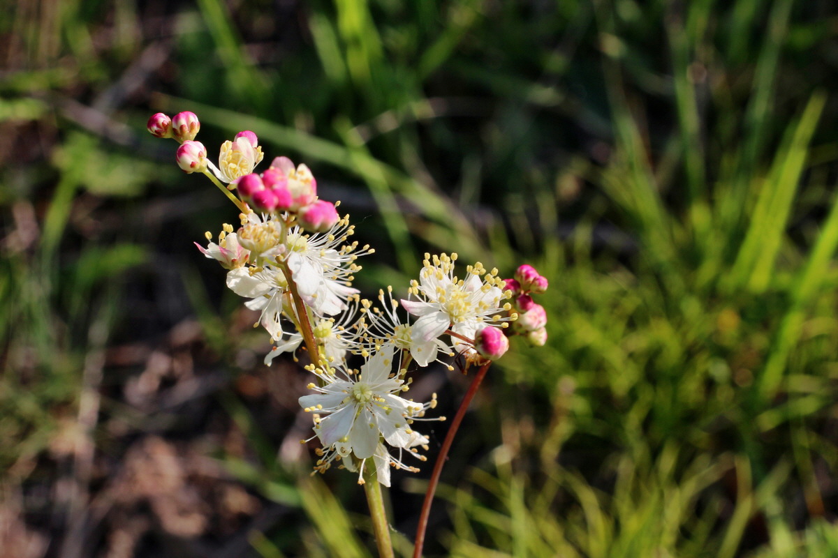 2014_05_21_00043391p_Bildgr��e �ndern