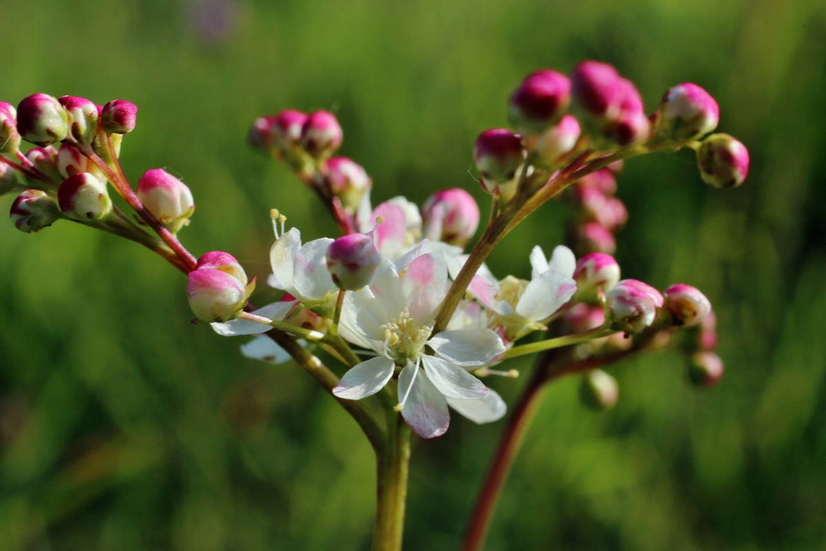 2014_05_21_00043401p_Bildgr��e �ndern