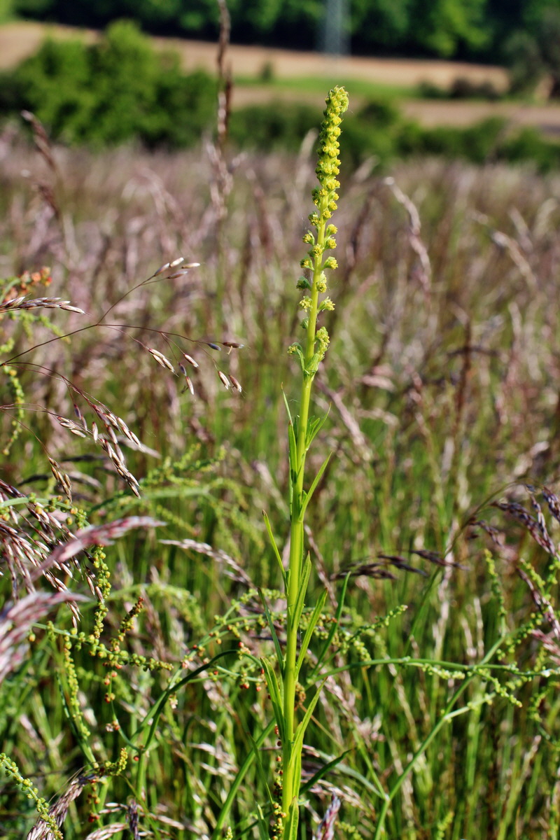 2014_05_21_00043404p_Bildgr��e �ndern