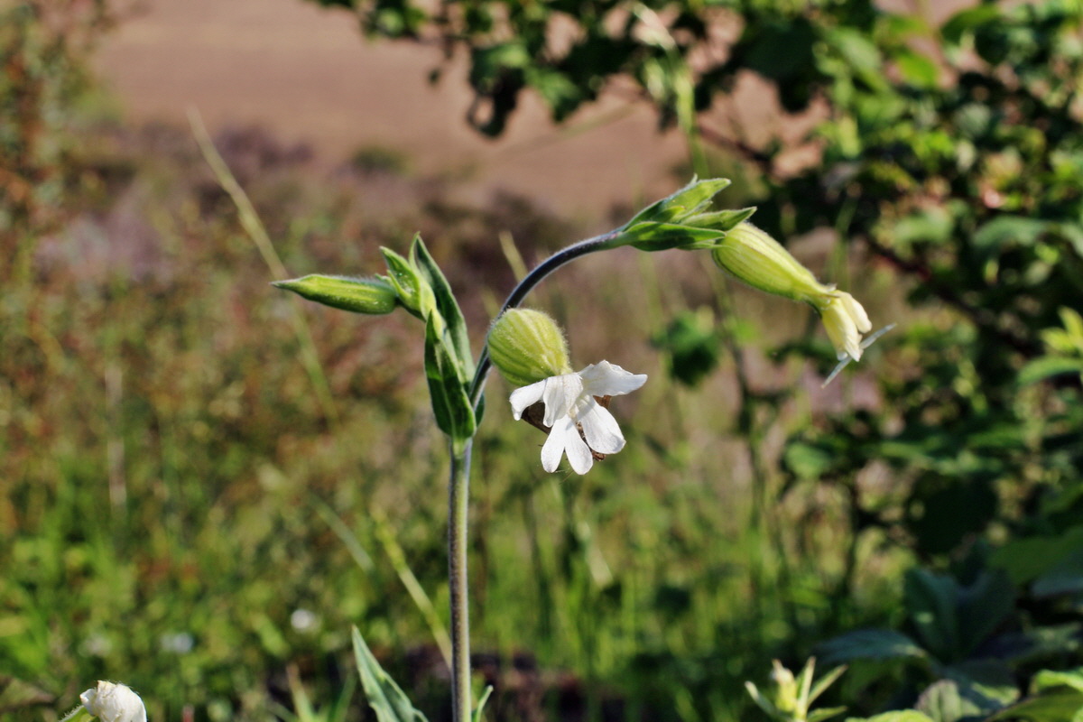 2014_05_21_00043419p_Bildgr��e �ndern