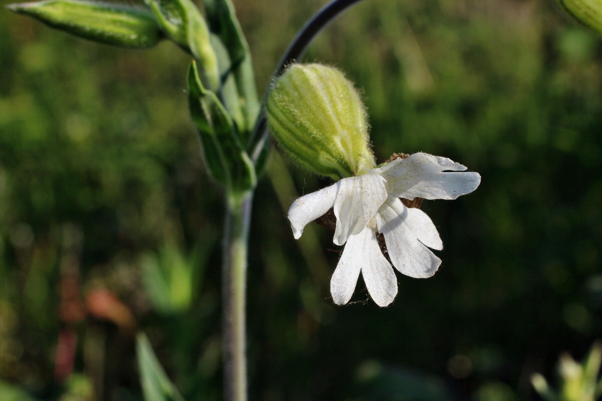 2014_05_21_00043422p_Bildgr��e �ndern