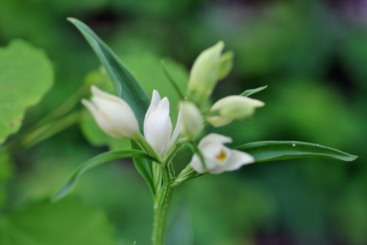 2014_05_22_00043431p_Bildgr��e �ndern