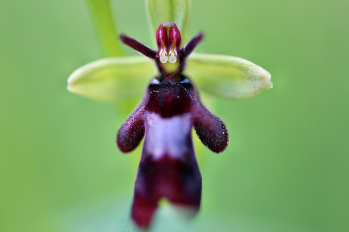 2014_05_22_00043440p_Bildgr��e �ndern